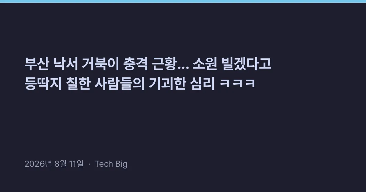 Thumbnail for 부산 낙서 거북이 충격 근황... 소원 빌겠다고 등딱지 칠한 사람들의 기괴한 심리 ㅋㅋㅋ